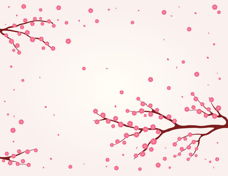 树枝上的桃红色梅花飘落 平面插图