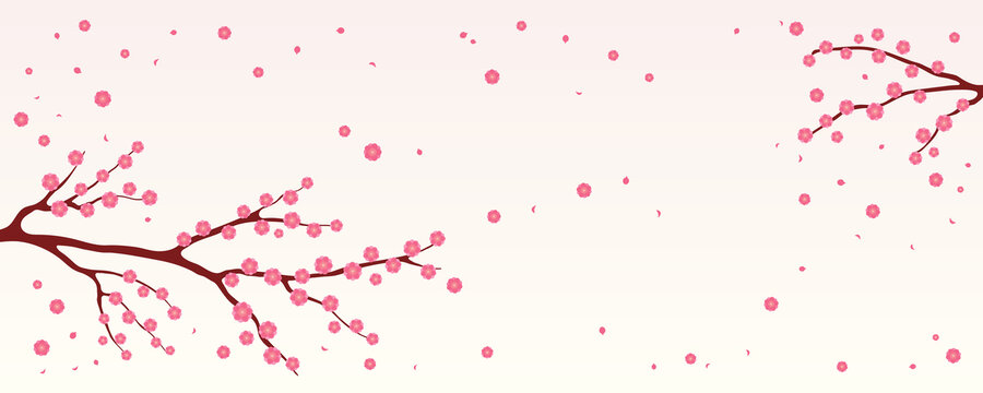 树枝上的桃红色梅花飘落 平面插图横幅