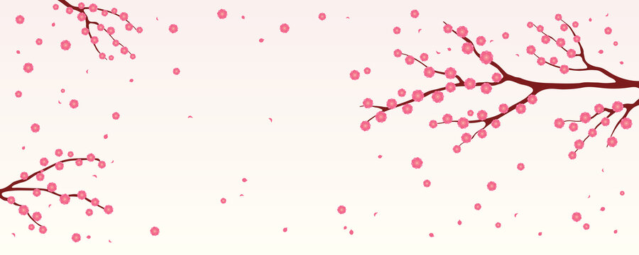 树枝上的桃红色梅花飘落 平面插图横幅