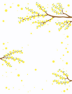 盛开黄色花朵的树 随风飘落海报