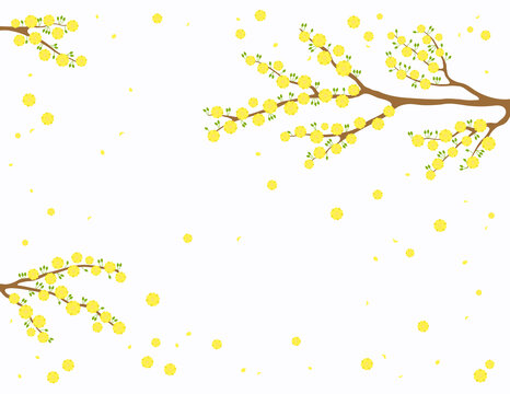 盛开的双层黄色花朵从树上飘落海报