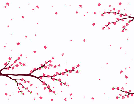 盛开的桃花随风飘落 平面插图