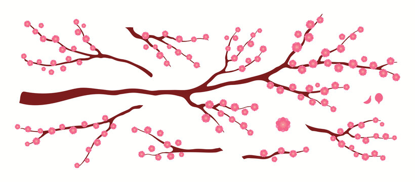树枝上盛开的双层深粉色花 平面插图素材