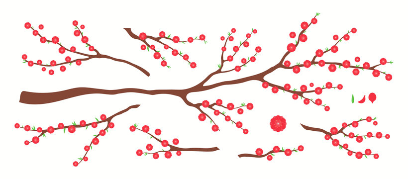 树枝上盛开的梅花 平面插图素材