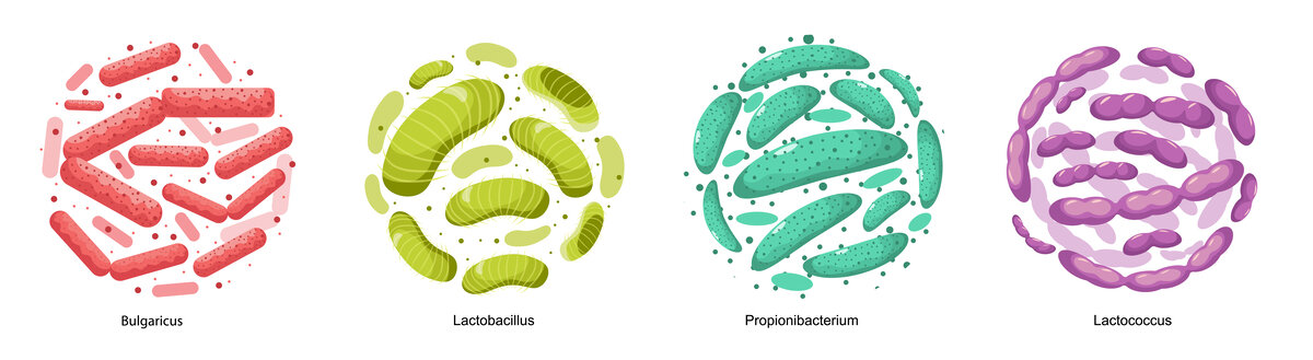 缤纷益生菌平面插图素材集合