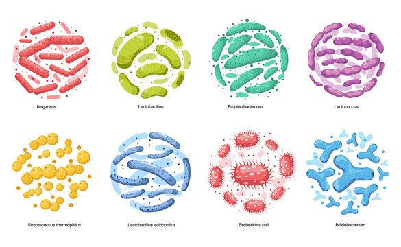 缤纷益生菌平面插图素材集合