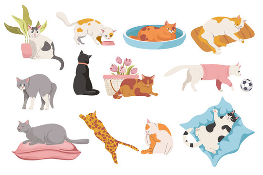 卡通猫咪的各种姿态平面插图素材