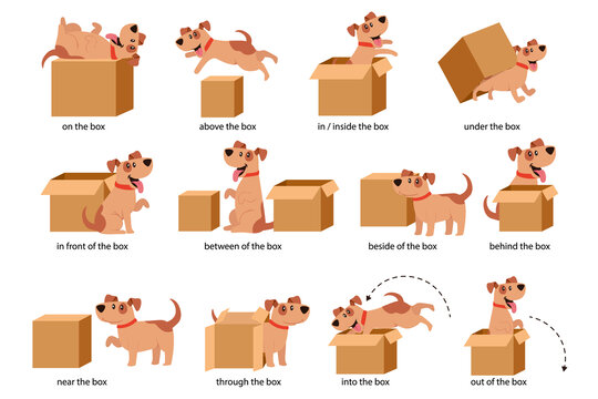 卡通狗狗玩纸箱辅助儿童英语介词 平面插图