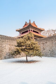 冬天雪后的沈阳清昭陵