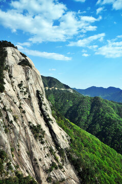 蓝天白云高山森林远景图