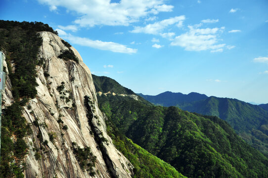 蓝天白云高山森林远景图