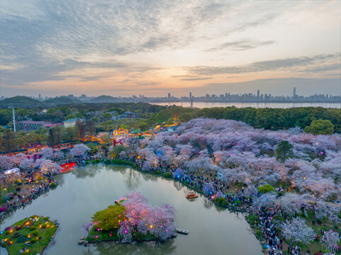 武汉东湖磨山樱花园夜景风光