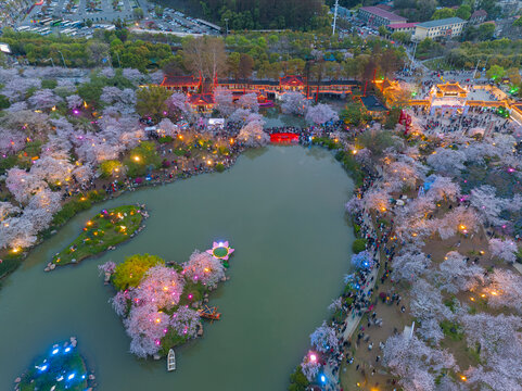 武汉东湖磨山樱花园夜景风光