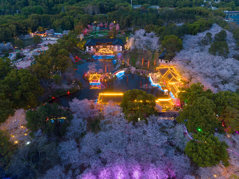 武汉东湖磨山樱花园夜景风光