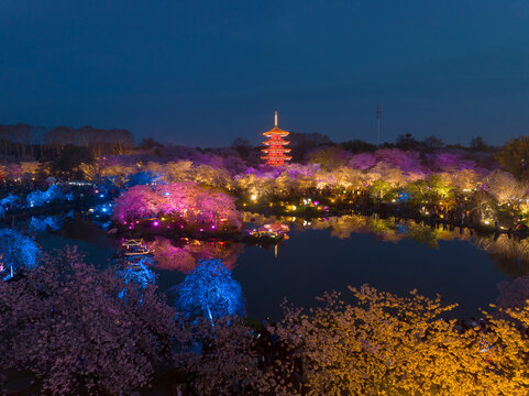 武汉东湖磨山樱花园夜景风光
