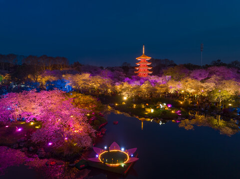 武汉东湖磨山樱花园夜景风光