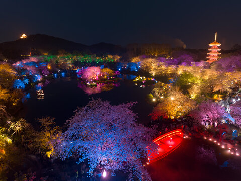 武汉东湖磨山樱花园夜景风光