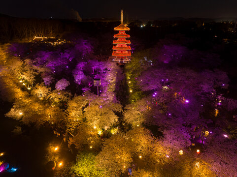 武汉东湖磨山樱花园夜景风光