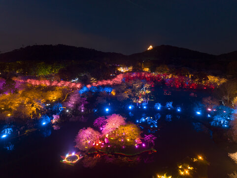 武汉东湖磨山樱花园夜景风光