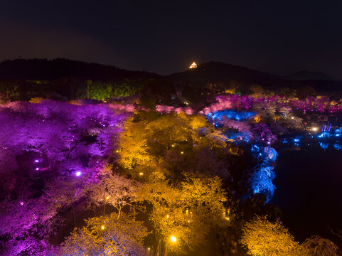 武汉东湖磨山樱花园夜景风光