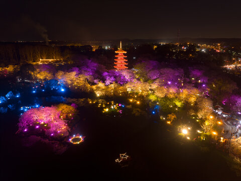 武汉东湖磨山樱花园夜景风光