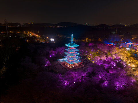 武汉东湖磨山樱花园夜景风光