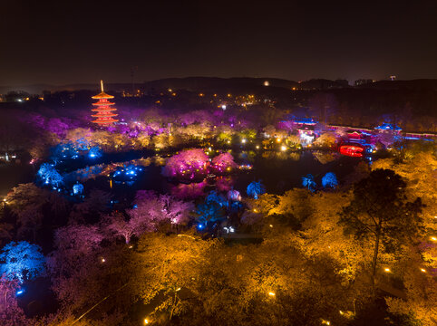 武汉东湖磨山樱花园夜景风光