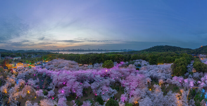 武汉东湖磨山樱花园夜景风光