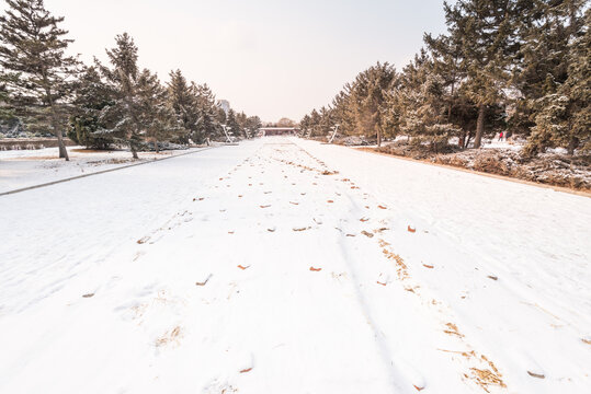 冬天雪后沈阳北陵公园风景