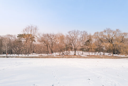 冬天雪后沈阳北陵公园风景