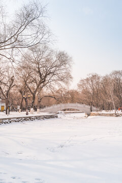 冬天雪后沈阳北陵公园风景