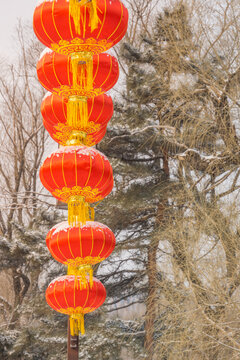 雪后沈阳北陵公园里的红灯笼