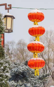 雪后沈阳北陵公园里的红灯笼