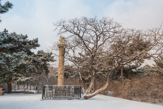 雪后清昭陵的华表特写