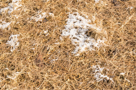 雪地纹理特写