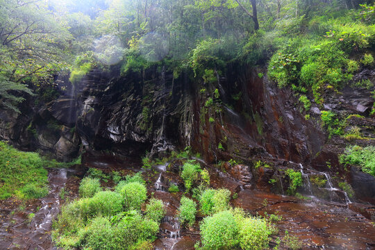 长白山望天鹅风景区