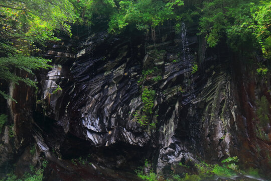 长白山望天鹅风景区