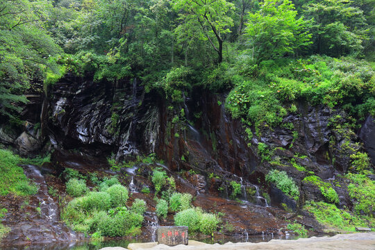 长白山望天鹅风景区