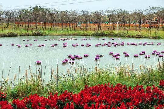 千花洲旅游度假区风景