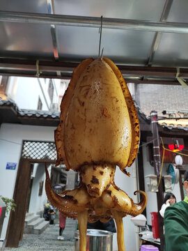 大章鱼