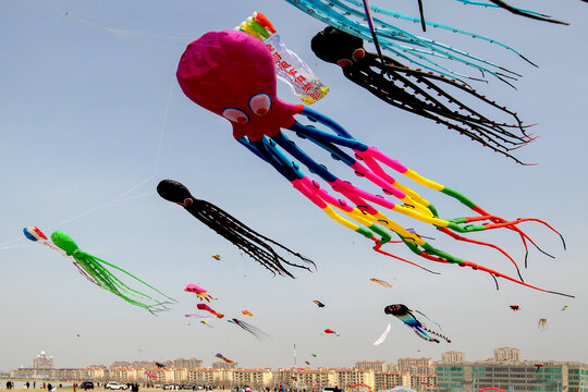 大庆市举行春季风筝比赛活动