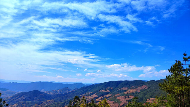 来自高山原野的爱意