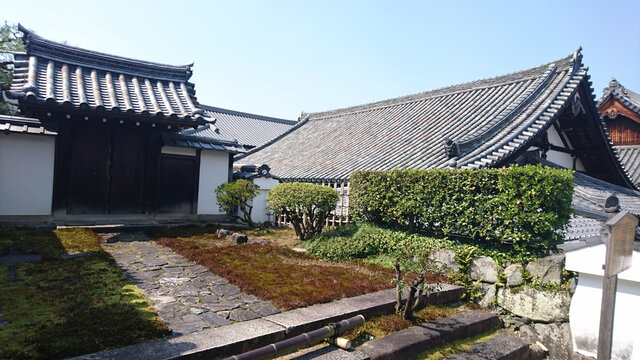日本樱花庭院建筑