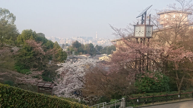 日本大阪城公园