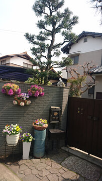 日本庭院大门植物装饰