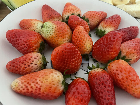 草莓