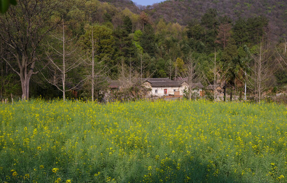 南庄河村