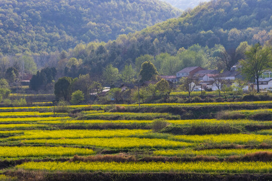 柏坪村风光