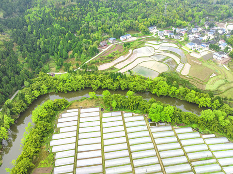 希望的田野