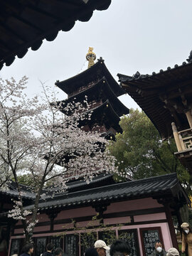 春天寒山寺